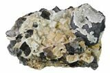 Quartz Encrusted Galena and Fluorite Crystals - Rogerley Mine #146247-1
